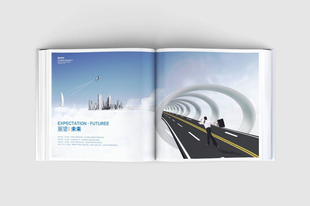 珠晖区画册设计